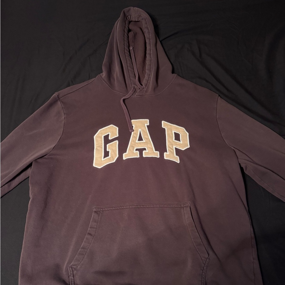 GAP Brown and tan Hoodie